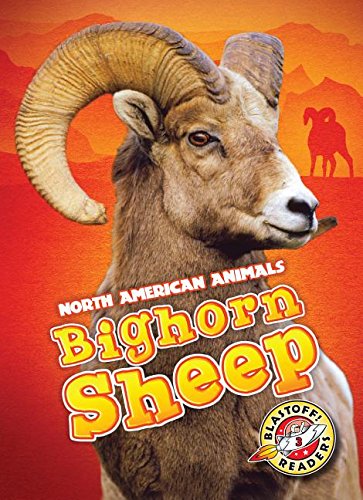 Cover of Bighorn sheep