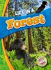 Life in a Forest