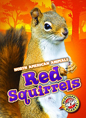 Cover of Red squirrels