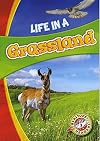 Life in a Grassland