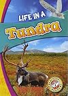 Life in a Tundra