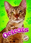 Ocicats (Cool Cats)