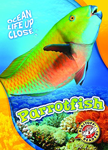 Cover of Parrotfish
