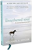 The Untethered Soul The Journey Beyond Yourself