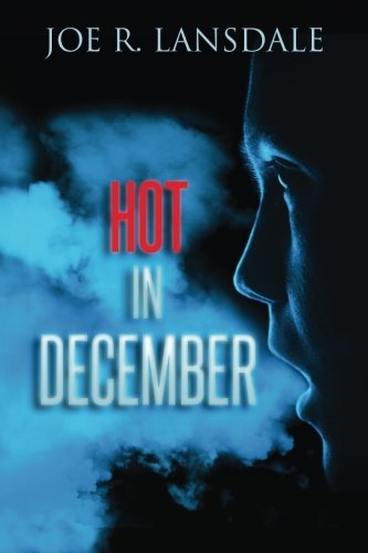 Hot in December book cover