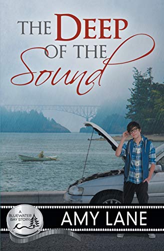 The Deep of the Sound book cover
