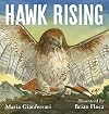 Hawk Rising