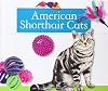 American Shorthair Cats (Domestic Cats)