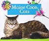 Maine Coon Cats (Domestic Cats)