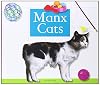 Manx Cats (Domestic Cats)
