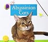 Abyssinian Cats (Domestic Cats)