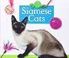 Siamese Cats (Domestic Cats)
