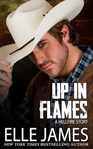 Up In Flames book cover