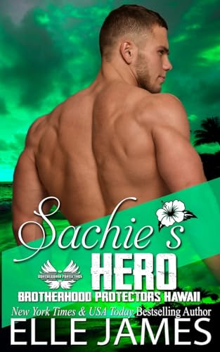 Sachie's Hero book cover