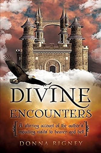 Divine Encounters book cover