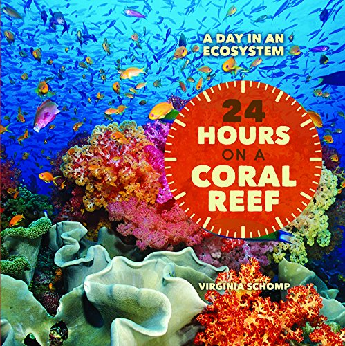 Cover of 24 Hours on a Coral Reef