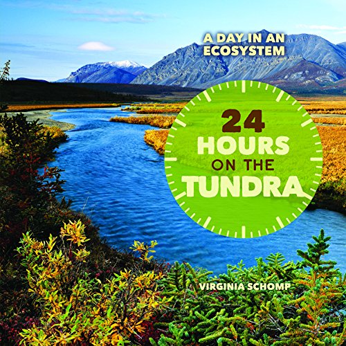 Cover of 24 Hours on the Tundra