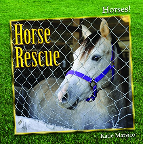 Cover of Horse Rescue