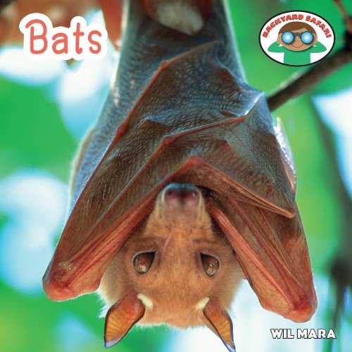 Bats book cover