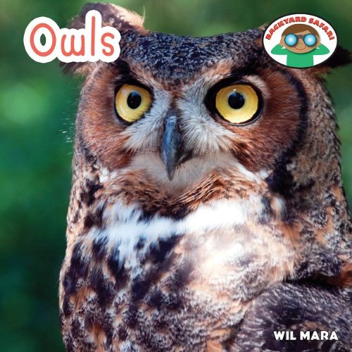Owls book cover
