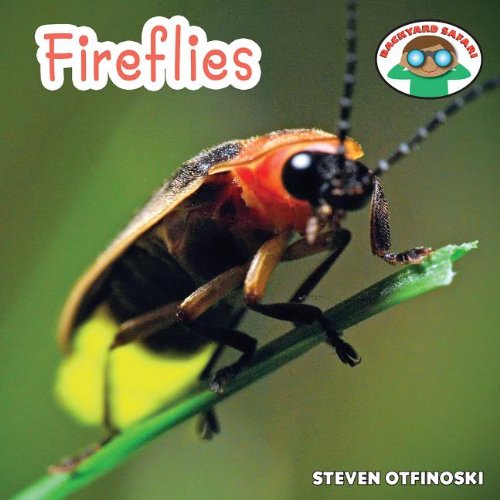 Fireflies (By: Steven Otfinoski) cover