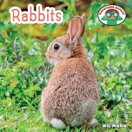 Rabbits book cover