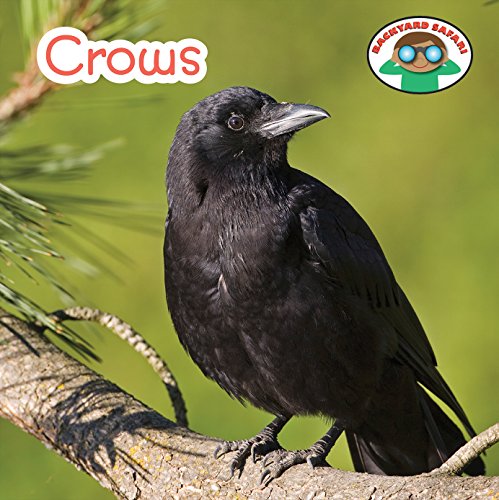 Crows (By: Steven Otfinoski) cover