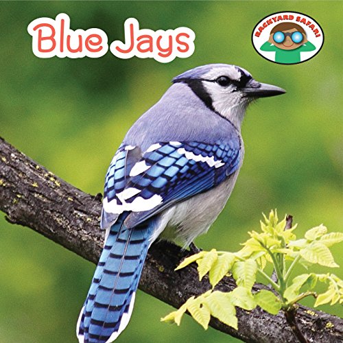 Blue Jays book cover