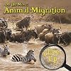 On the Move (Close-Up on Amazing Animals)