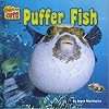 Puffer Fish (Weird But Cute)