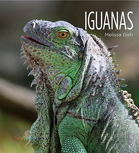 Cover of Iguanas