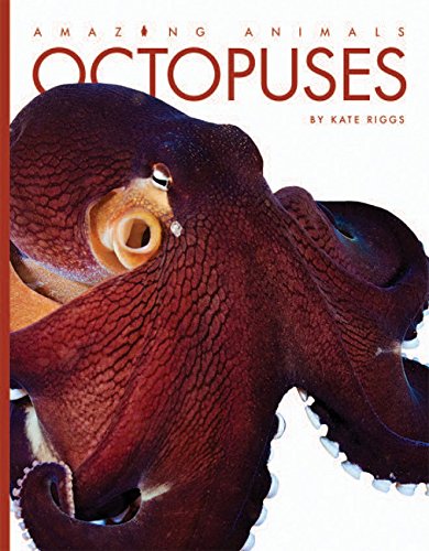 Cover of Octopuses