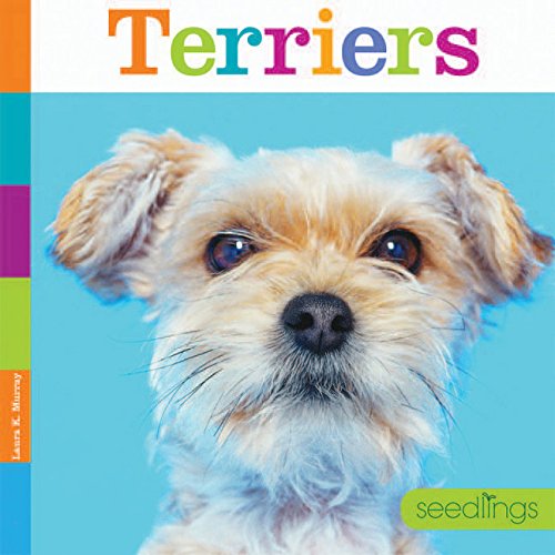 Cover of Terriers