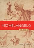 Michelangelo Odysseys In Artistry