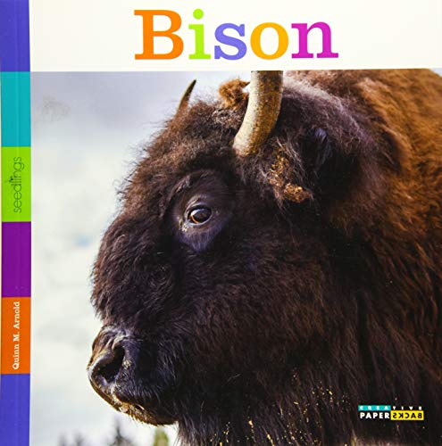 Cover of Bison