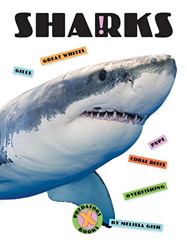 Cover of X-Books