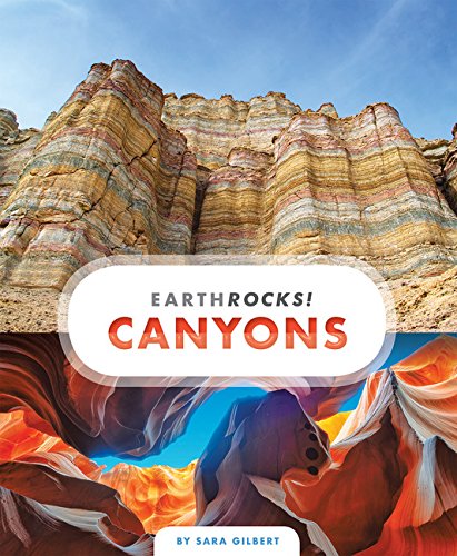 Cover of Canyons