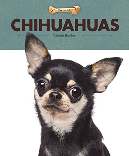 Cover of Chihuahuas