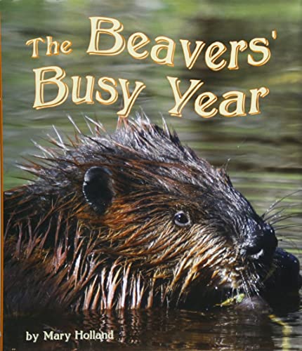 The Beavers' Busy Year book cover