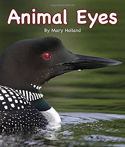 Cover of Animal eyes