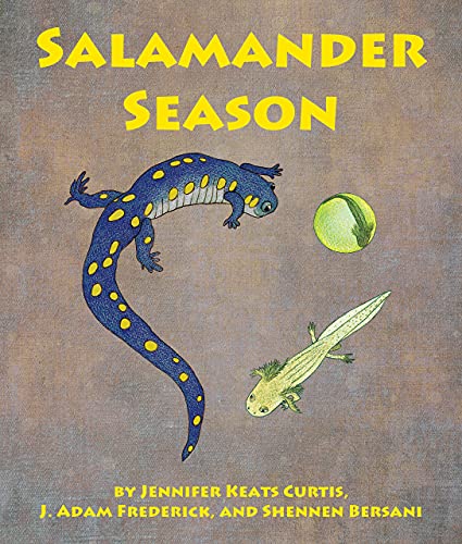 Salamander Season book cover