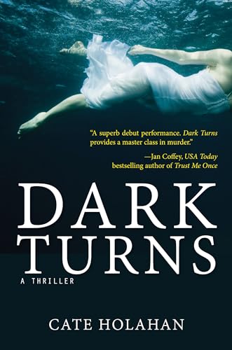 Dark Turns book cover
