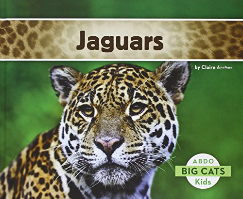 Cover of Jaguars