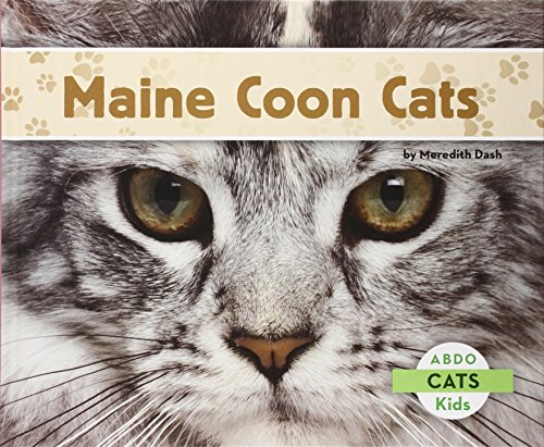 Cover of Maine coon cats