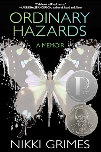 Ordinary Hazards book cover
