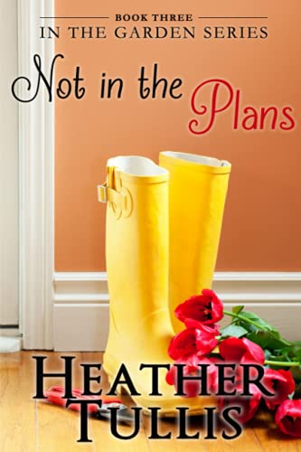 Not in the Plans book cover