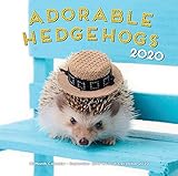 Adorable Hedgehogs 2020 Calendar