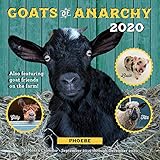 Goats Of Anarchy 2020 Calendar