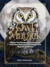 Owl Magick: Explore Our Fascinating Connections with These Birds Through Folklore and Magickal Traditions