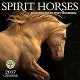 Spirit Horses 2017 Wall Calendar